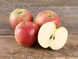 Pommes  story