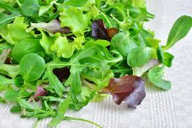 Mesclun