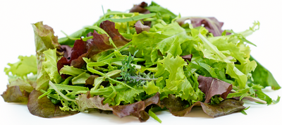 Mesclun: mélange de jeunes pousses