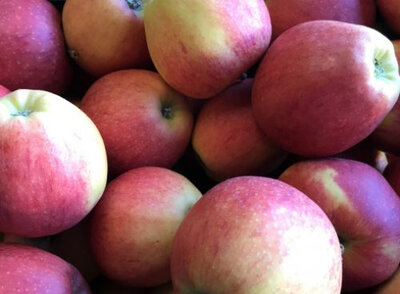 Pommes 'daliclass'