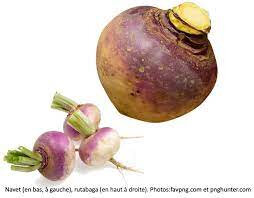 Rutabaga