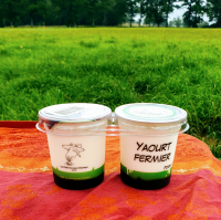 Yaourt de chèvre framboise