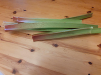 Rhubarbe