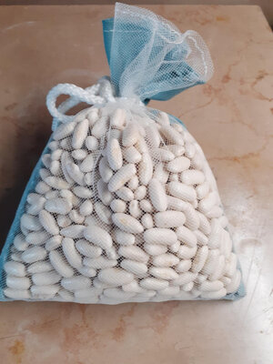 Haricot blanc bio