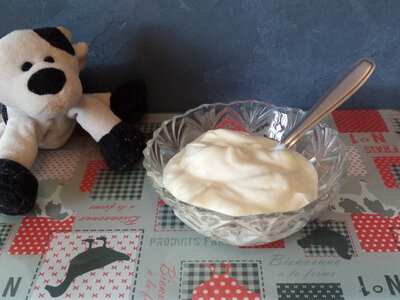 Fromage blanc battu