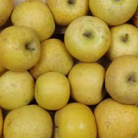 Pomme chantecler vrac 5kg 'bon marché'