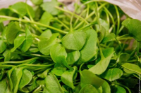 Pourpier d'hiver bio 150g