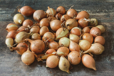 Petits oignons bio