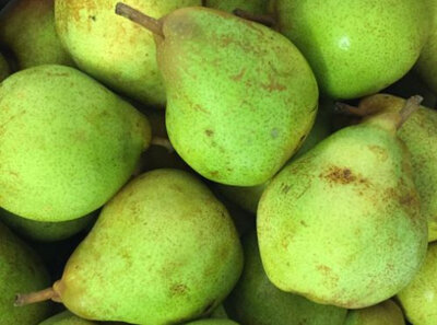 Poires 'comice' 1kg