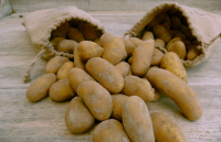 Pommes de terre chair ferme 5kg sac jute