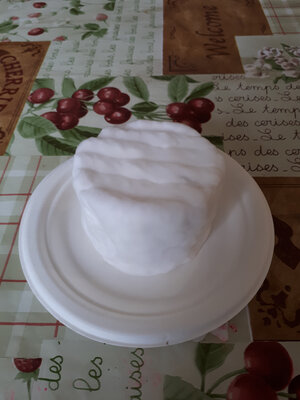 Blanc d' ours