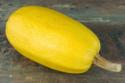 Courge spaghetti bio