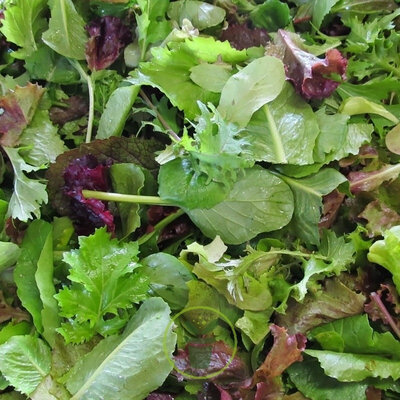 Salade asiatique bio