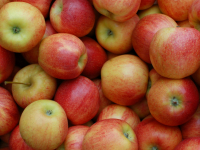 Pommes variété 'jonagold'