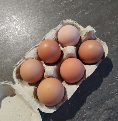 Oeufs