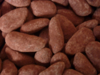 Amandes chocolaté noir