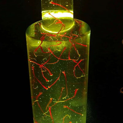 Sirop de safran