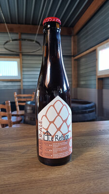 Amber ale