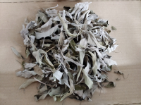 Sauge blanche à brûler