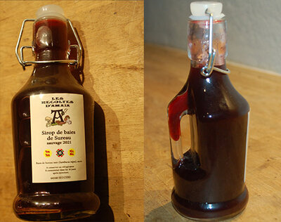 Sirop de baies de sureau sauvage