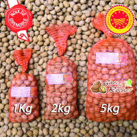 Noix de grenoble aop récolte 2022