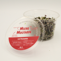 Micro moutarde