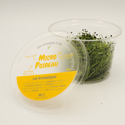 Micro poireau
