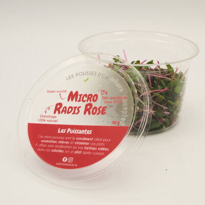 Micro radis