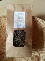 Thym (thymus vulgaris)