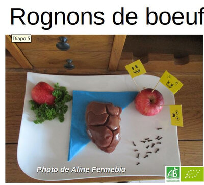 Rognon de boeuf