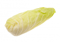 Salade pain de sucre bio (la pièce)