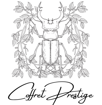 Coffret prestige assortiment 3 thés