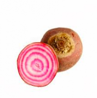 Betterave chiogga (variété ancienne)