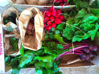 Panier de légumes de la semaine