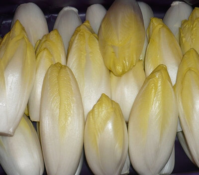 Endives