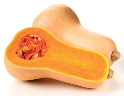 Courge butternut