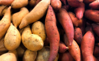 Patates douces
