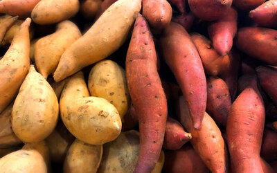Patates douces