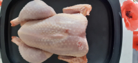 Poulet prêt à cuire 1,3kg/1,5kg