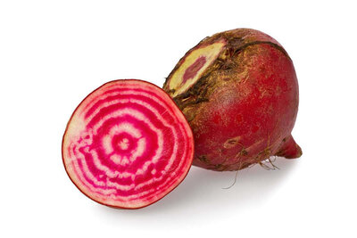 Betterave chioggia