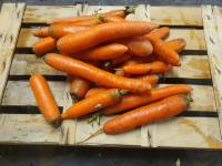 Carotte en vrac