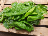 Epinard feuille (500gr)