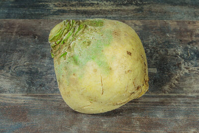 Rutabaga bio
