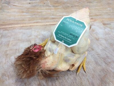 Poularde bio de la ferme en coton