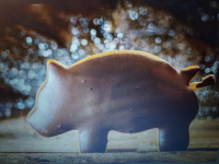 Petit cochon en pain d'épices (chocolat noir)