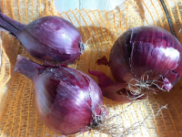 Oignons rouge déclassés bio