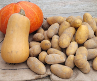 Offre speciale black friday