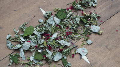Tisane femme