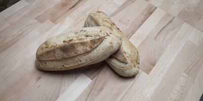 Pain au tournesol