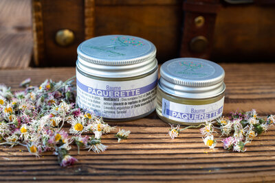 Baume à la pâquerette